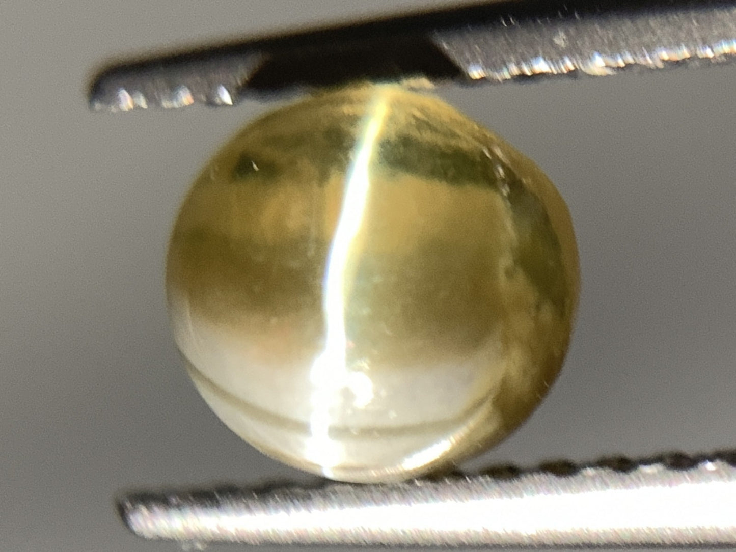 クリソベリルキャッツアイ 天然 1.471ct 宝石ソーティング付き 6.1㎜×5.8㎜×4.0㎜ ルース( 裸石 ) 5906Y