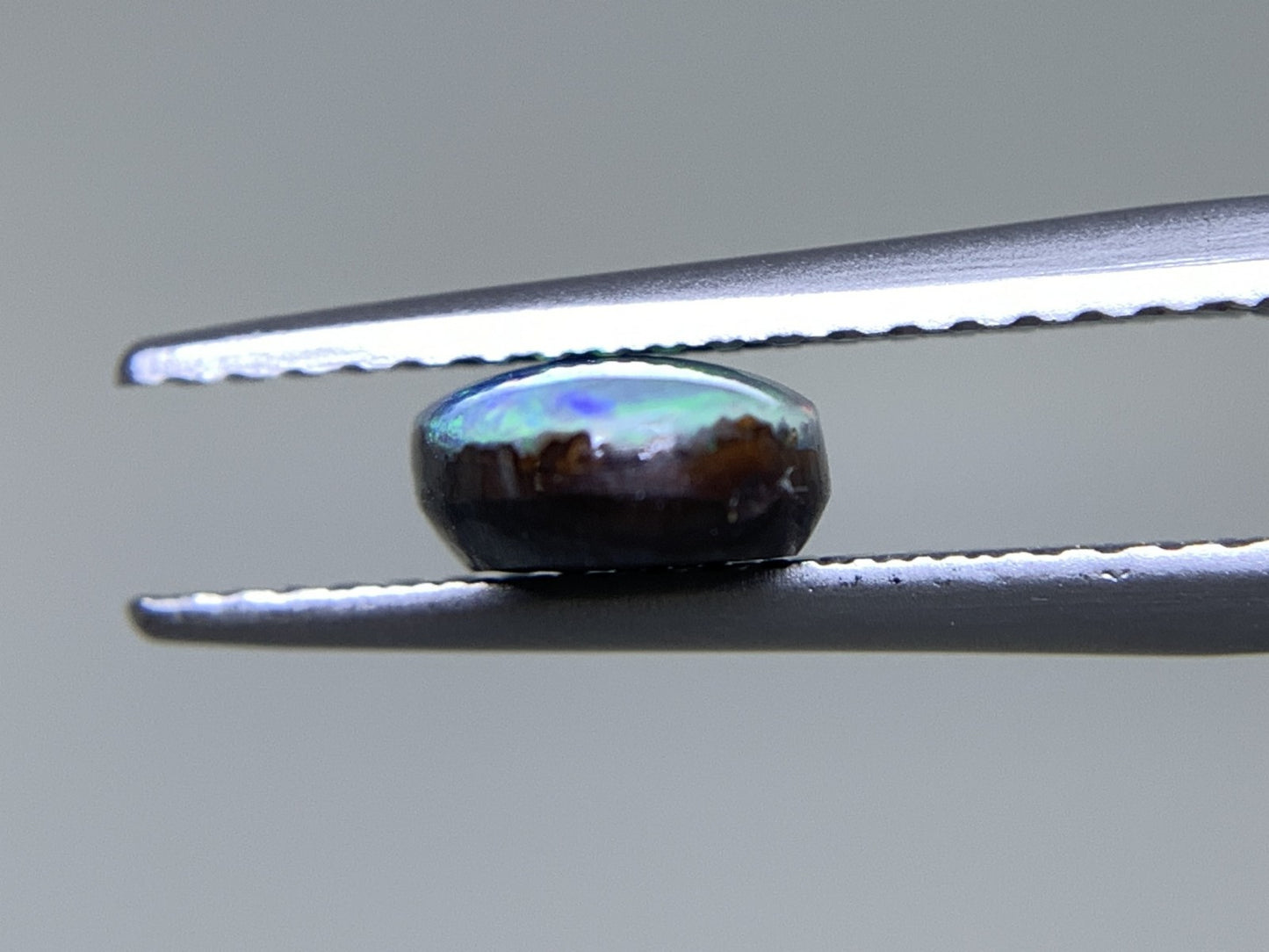 ボルダーオパール 天然 1.631ct 中央宝石ソーティング付き 8.5㎜×6.1㎜×3.1㎜ 天然 ルース( 裸石 ) 5083Y