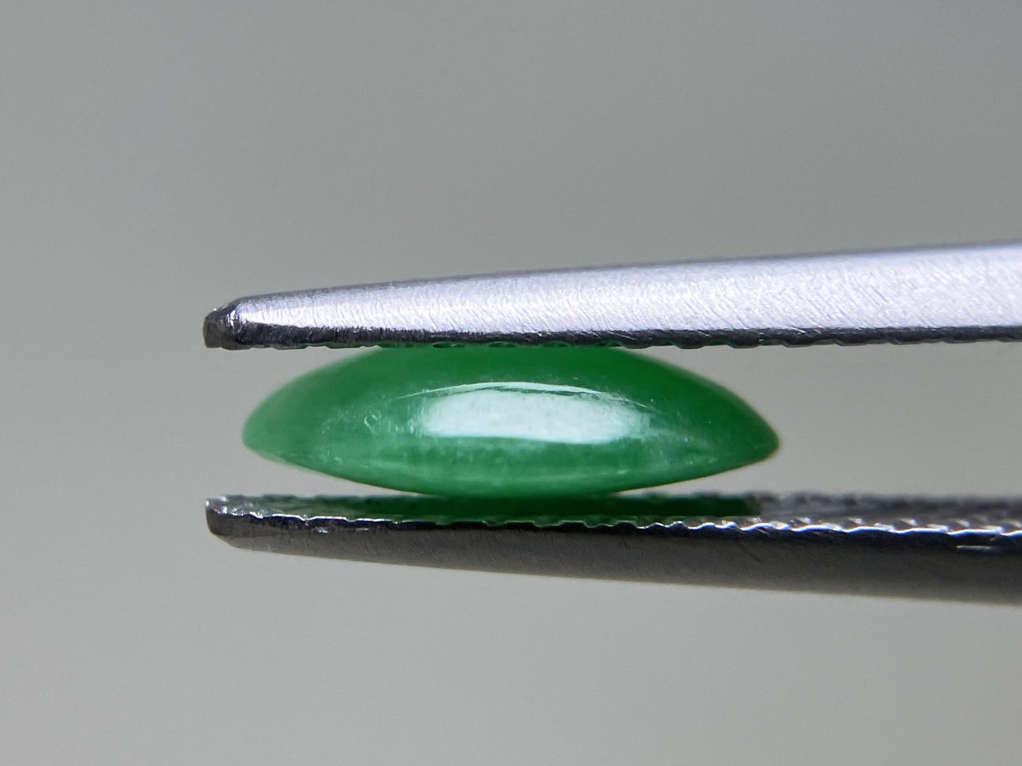 ヒスイ 翡翠 天然 1.261ct 宝石ソーティング付き 8.9㎜×6.4㎜×2.8㎜ 天然 ルース( 裸石 ) 5193YY