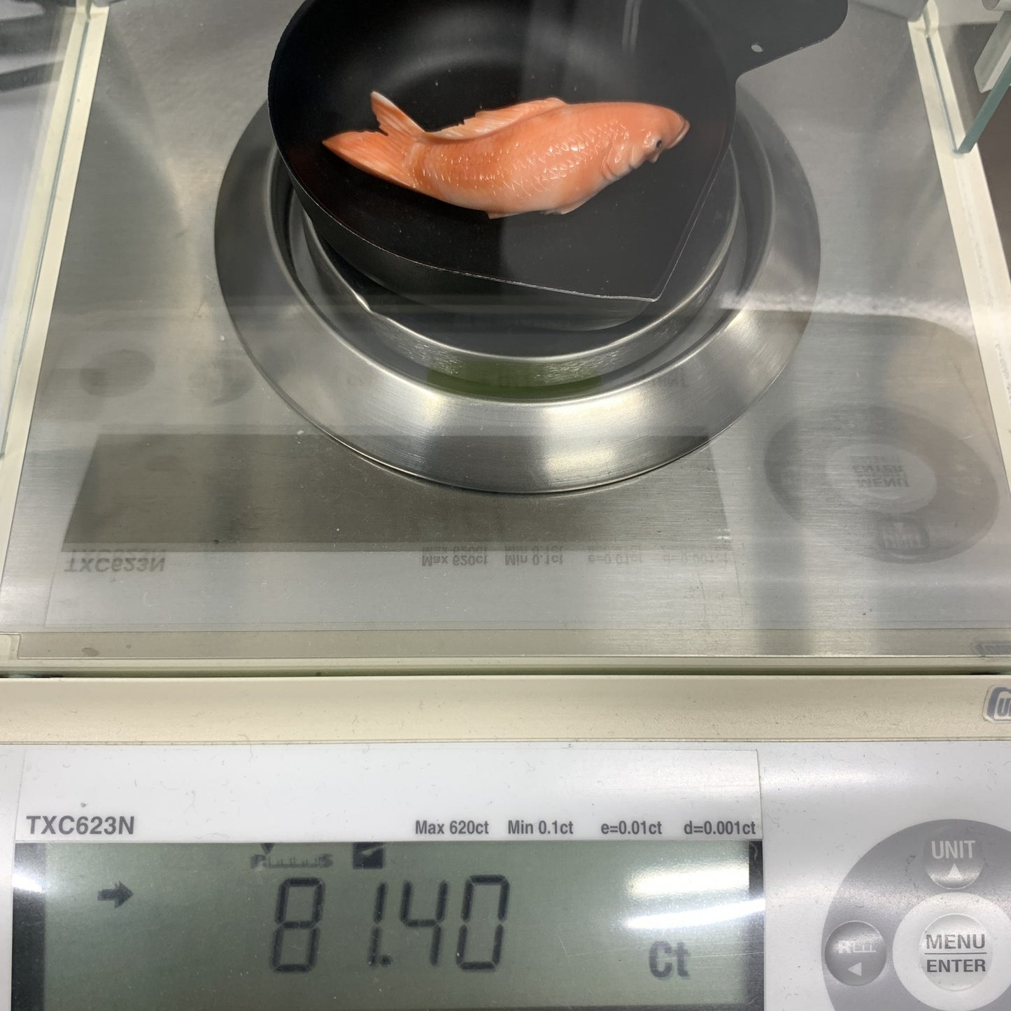 サンゴ (さんご 珊瑚) 天然 81.40ct 宝石鑑別書付き 64.7㎜×20.0㎜×11.4㎜ ルース( 裸石 ) 7160Y