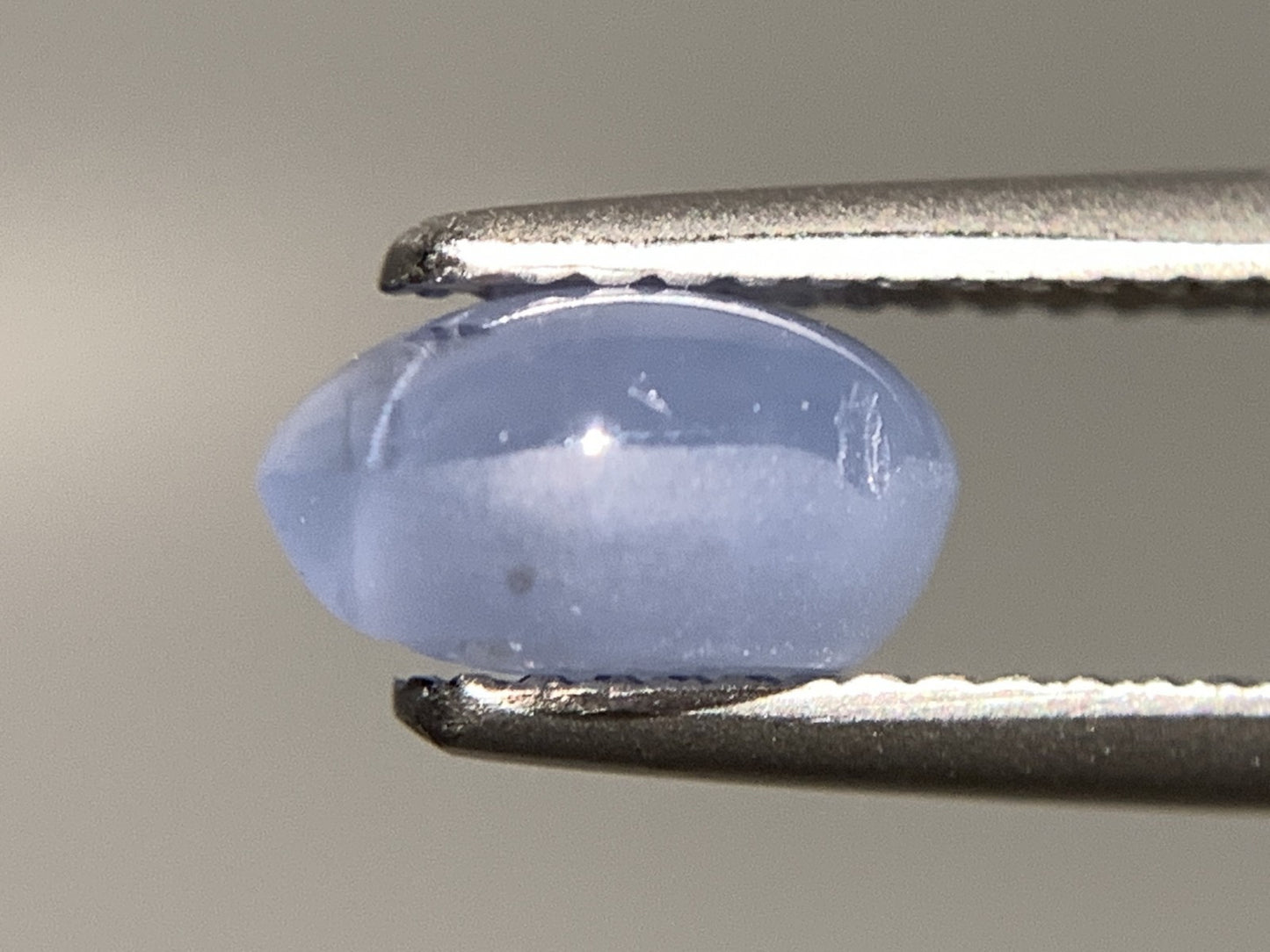 スターサファイア 天然 2.527ct 宝石ソーティング付き 8.2㎜×6.2㎜×4.5㎜ ルース( 裸石 ) 7054Y