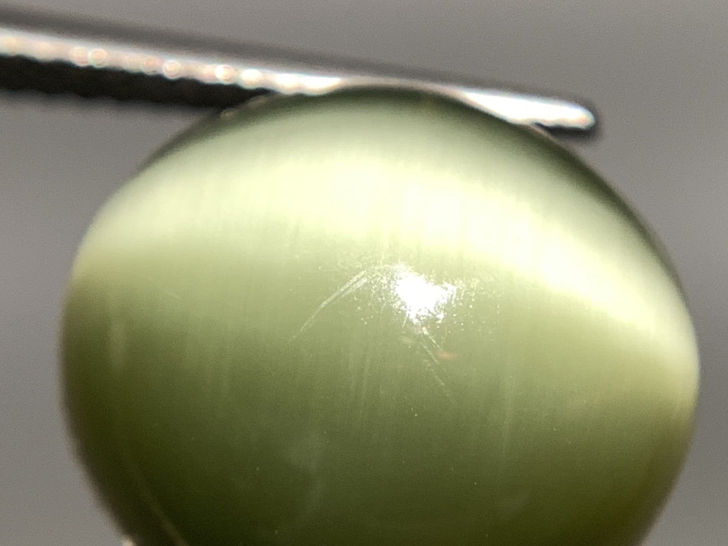 ネフライトキャッツアイ 天然 11.442ct 宝石ソーティング付き 14.0㎜×13.4㎜×7.0㎜ ルース( 裸石 ) 5033Y