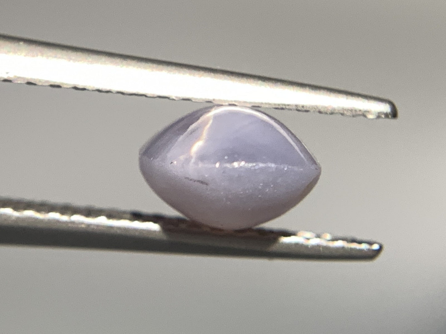 スターサファイア 天然 2.230ct 宝石ソーティング付き 7.9㎜×6.5㎜×4.4㎜ ルース( 裸石 ) 5584Y