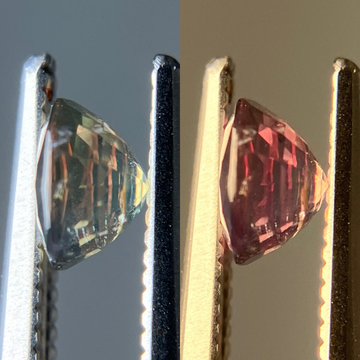 アレキサンドライト 天然 0.707ct 中央宝石ソーティング付き 5.21㎜×5.08㎜×3.24㎜ ルース( 裸石 ) 6378YY