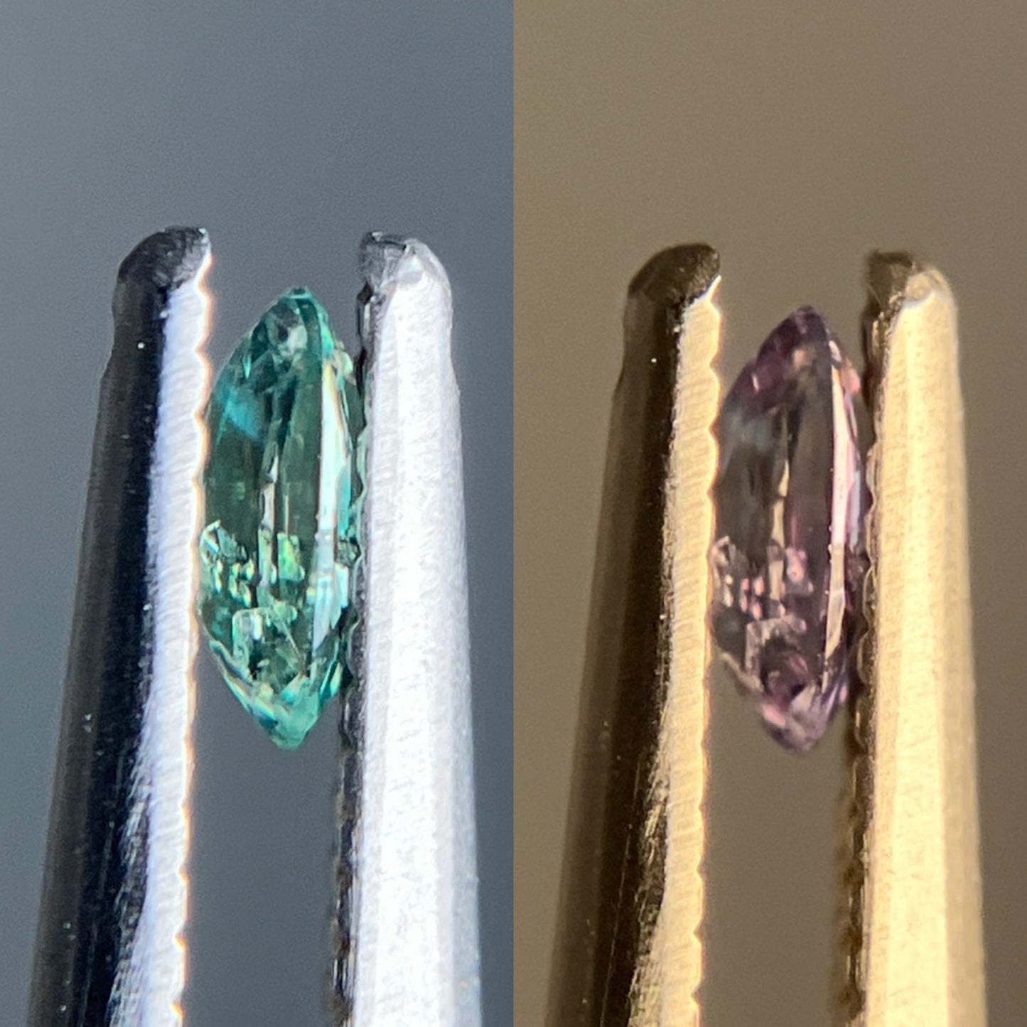アレキサンドライト 天然 0.180ct 中央宝石ソーティング付き 4.41㎜×3.13㎜×1.60㎜ ルース( 裸石 ) 6338YY