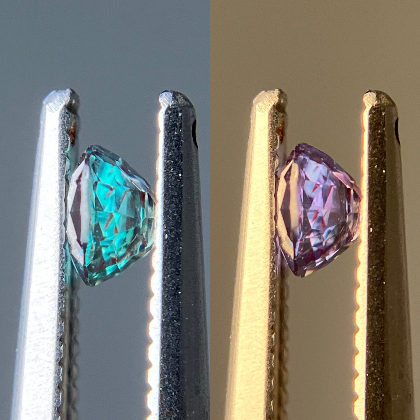 アレキサンドライト 天然 0.275ct 中央宝石ソーティング付き 3.81㎜×3.65㎜×2.46㎜ ルース( 裸石 ) 6398YY