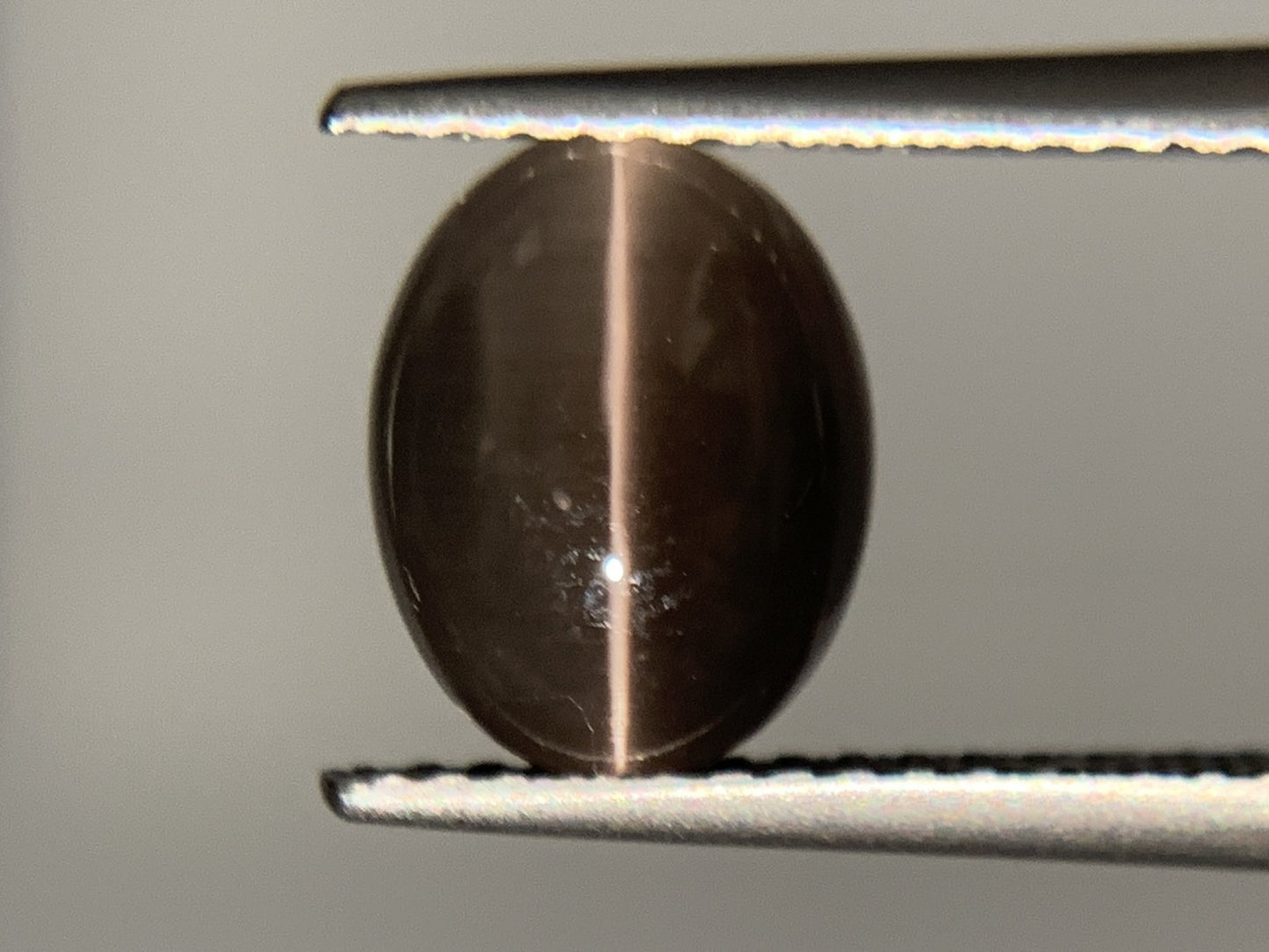 シリマナイトキャッツアイ　2.72ct　宝石ソーティング付き　9.0㎜×6.9㎜×4.8㎜　ルース（ 裸石 ） 1869Y