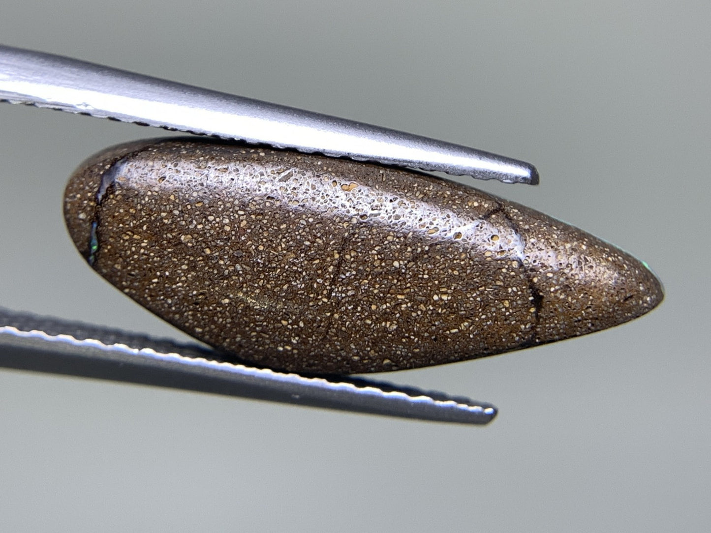 ボルダーオパール 2.936ct 宝石ソーティング付き  19.0㎜×7.0㎜×3.0㎜  ルース（ 裸石 ） 2505Y