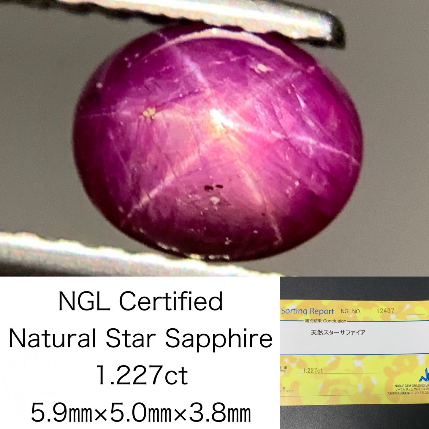 スターサファイア 1.227ct  宝石ソーティング付き  5.9㎜×5.0㎜×3.8㎜  ルース（ 裸石 ） 2723Y