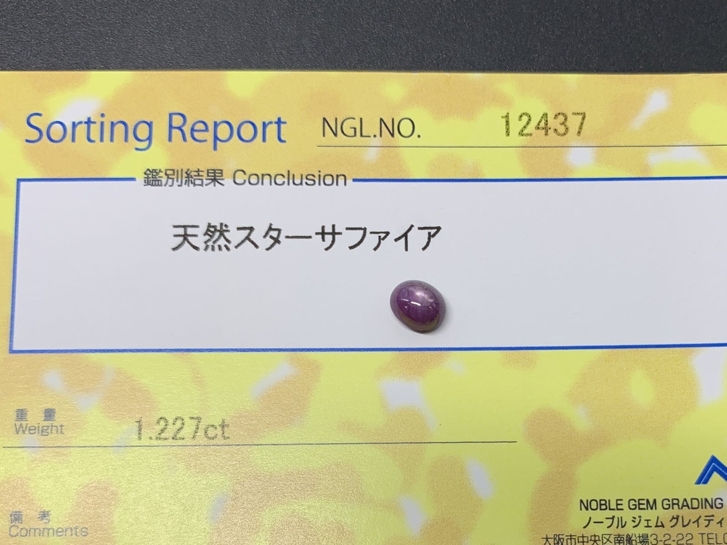 スターサファイア 1.227ct  宝石ソーティング付き  5.9㎜×5.0㎜×3.8㎜  ルース（ 裸石 ） 2723Y