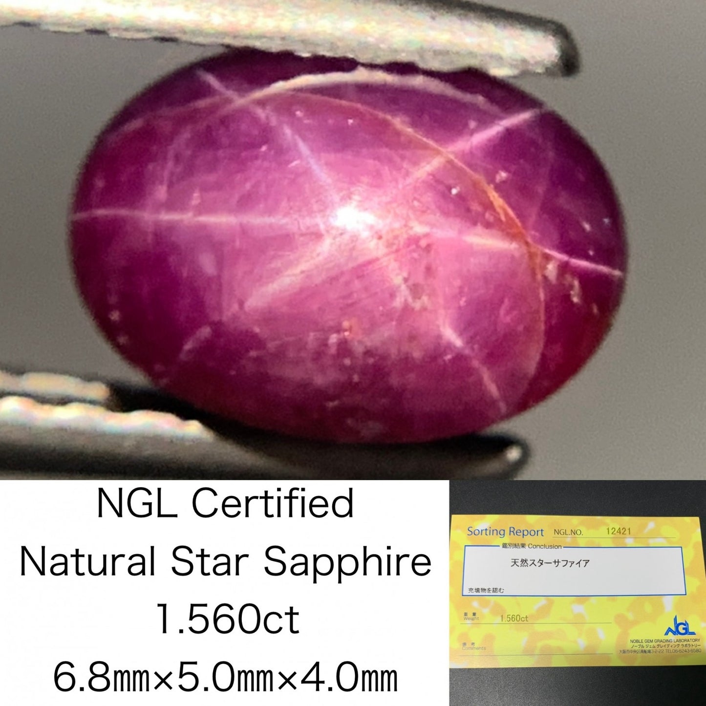 スターサファイア 1.560ct  宝石ソーティング付き  6.8㎜×5.0㎜×4.0㎜  ルース（ 裸石 ） 2734Y
