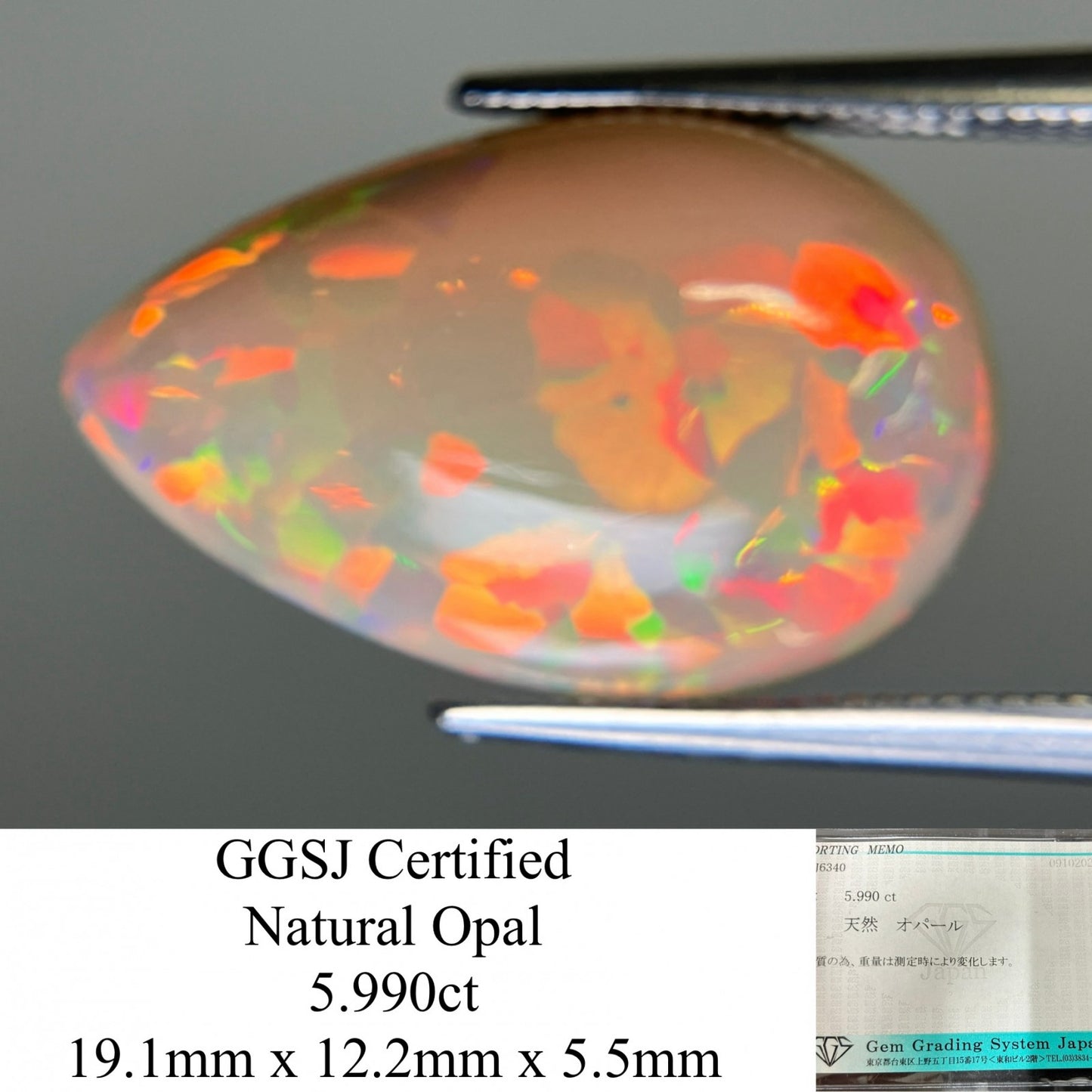 ハニカムオパール 宝石ソーティング付き  5.990ct　 縦19.1㎜×横12.2㎜×高さ5.5㎜　 ルース（ 裸石 ）　 2910YY