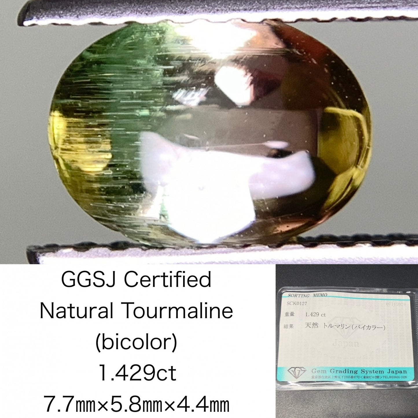 トルマリン（バイカラー） 1.429ct 宝石ソーティング付き  7.7㎜×5.8㎜×4.4㎜  ルース（ 裸石 ） 3115Y