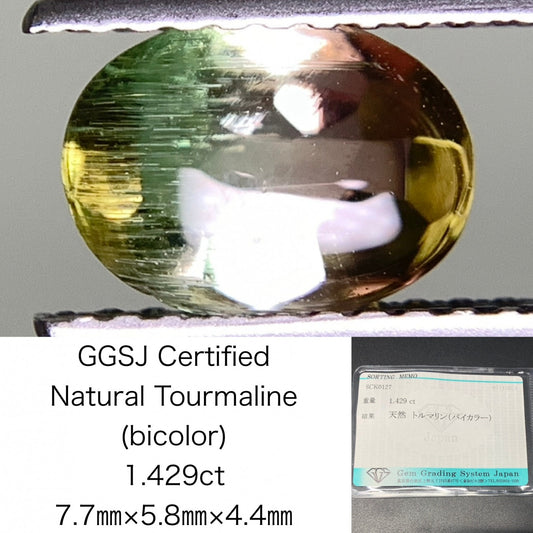 トルマリン（バイカラー） 1.429ct 宝石ソーティング付き  7.7㎜×5.8㎜×4.4㎜  ルース（ 裸石 ） 3115Y