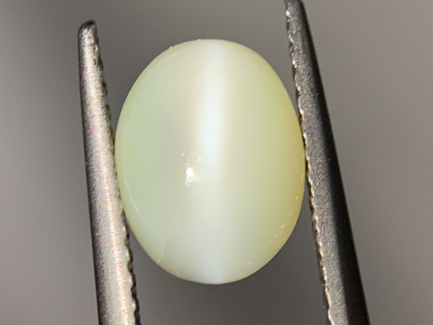 クリソベリルキャッツアイ 2.375ct 宝石ソーティング付き  8.3㎜×6.6㎜×4.1㎜  ルース（ 裸石 ） 3241Y