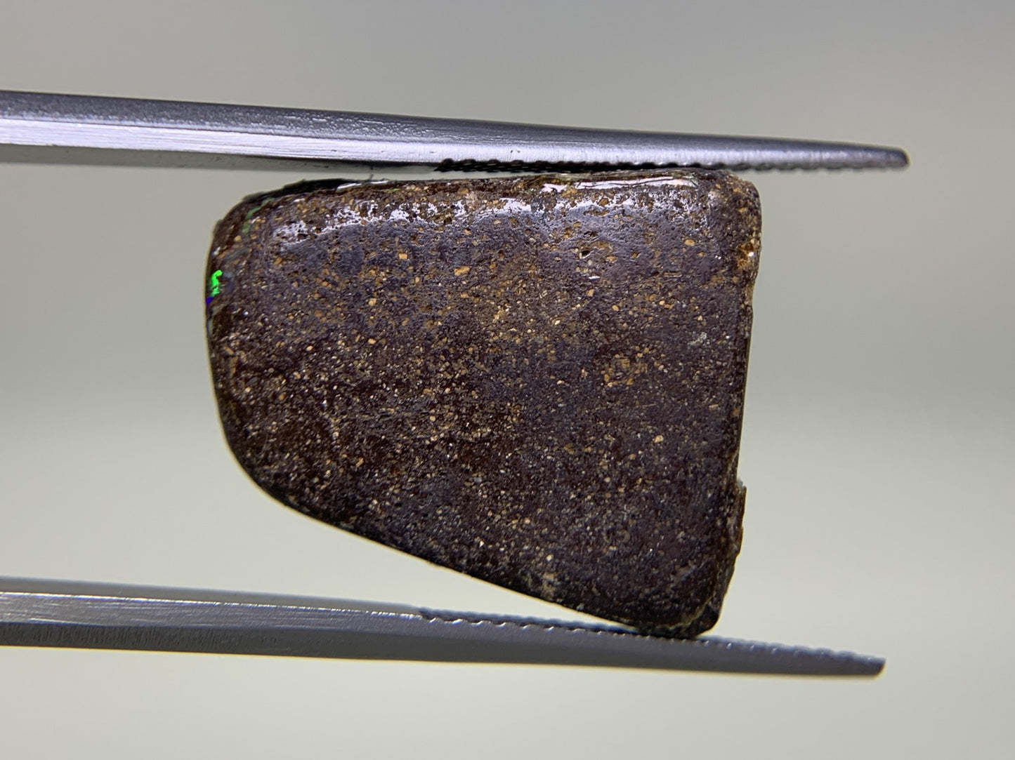 ボルダーオパール 11.993ct 宝石ソーティング付き  19.2㎜×16.6㎜×4.1㎜  ルース（ 裸石 ） 3369Y