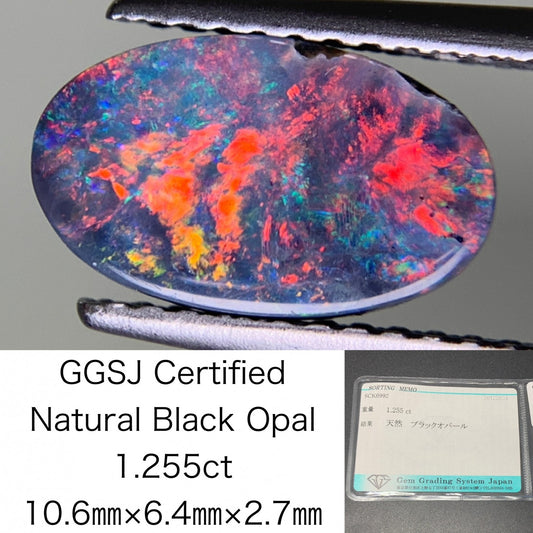 ブラックオパール 1.255ct 宝石ソーティング付き  10.6㎜×6.4㎜×2.7㎜  ルース（ 裸石 ） 3571Y