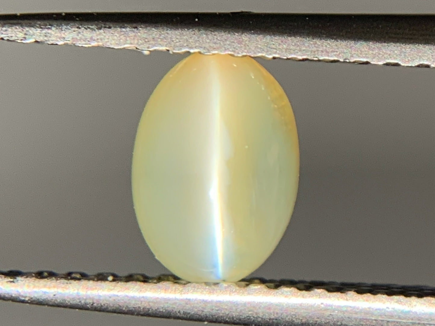 クリソベリルキャッツアイ 1.021ct  宝石ソーティング付き  6.6㎜×4.7㎜×3.1㎜  ルース（ 裸石 ） 4020Y
