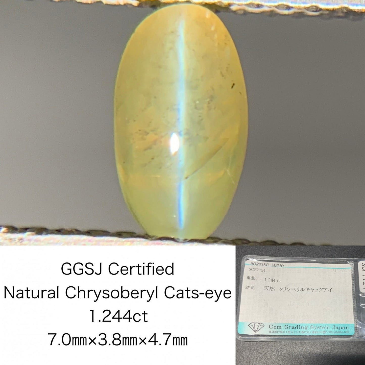 クリソベリルキャッツアイ 1.244ct  宝石ソーティング付き  7.0㎜×3.8㎜×4.7㎜  ルース（ 裸石 ） 4024Y