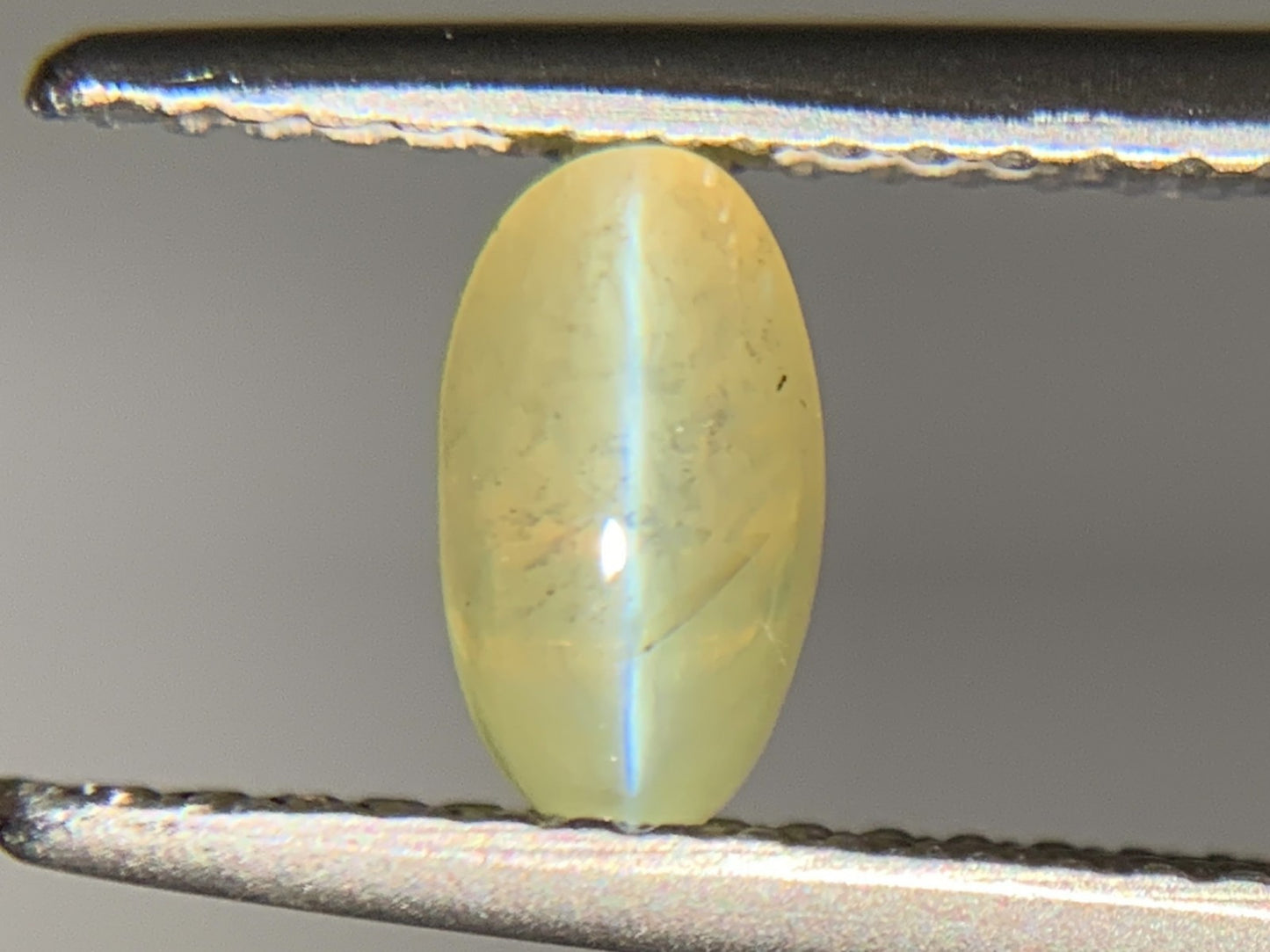 クリソベリルキャッツアイ 1.244ct  宝石ソーティング付き  7.0㎜×3.8㎜×4.7㎜  ルース（ 裸石 ） 4024Y