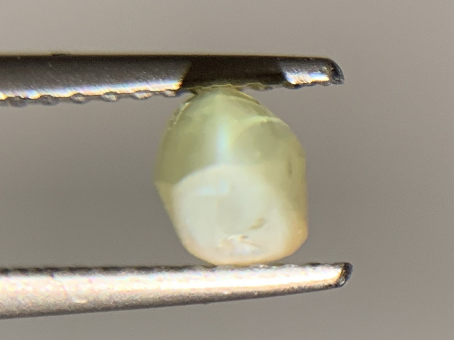 クリソベリルキャッツアイ 1.244ct  宝石ソーティング付き  7.0㎜×3.8㎜×4.7㎜  ルース（ 裸石 ） 4024Y