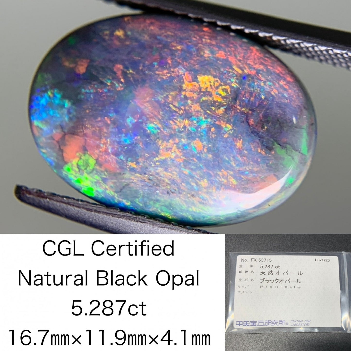 ブラックオパール 5.287ct  中央宝石ソーティング付き  16.7㎜×11.9㎜×4.1㎜  ルース（ 裸石 ） 4032Y