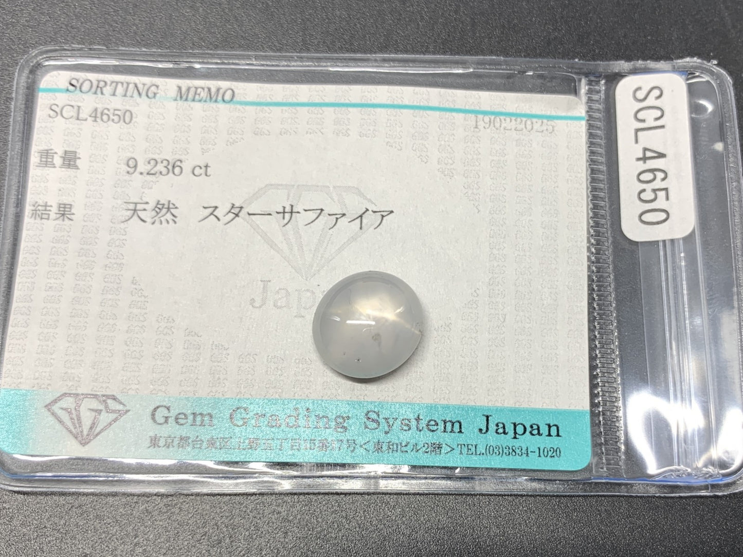 スターサファイア 9.236ct  宝石ソーティング付き  12.0㎜×11.0㎜×6.0㎜  ルース（ 裸石 ） 4113Y