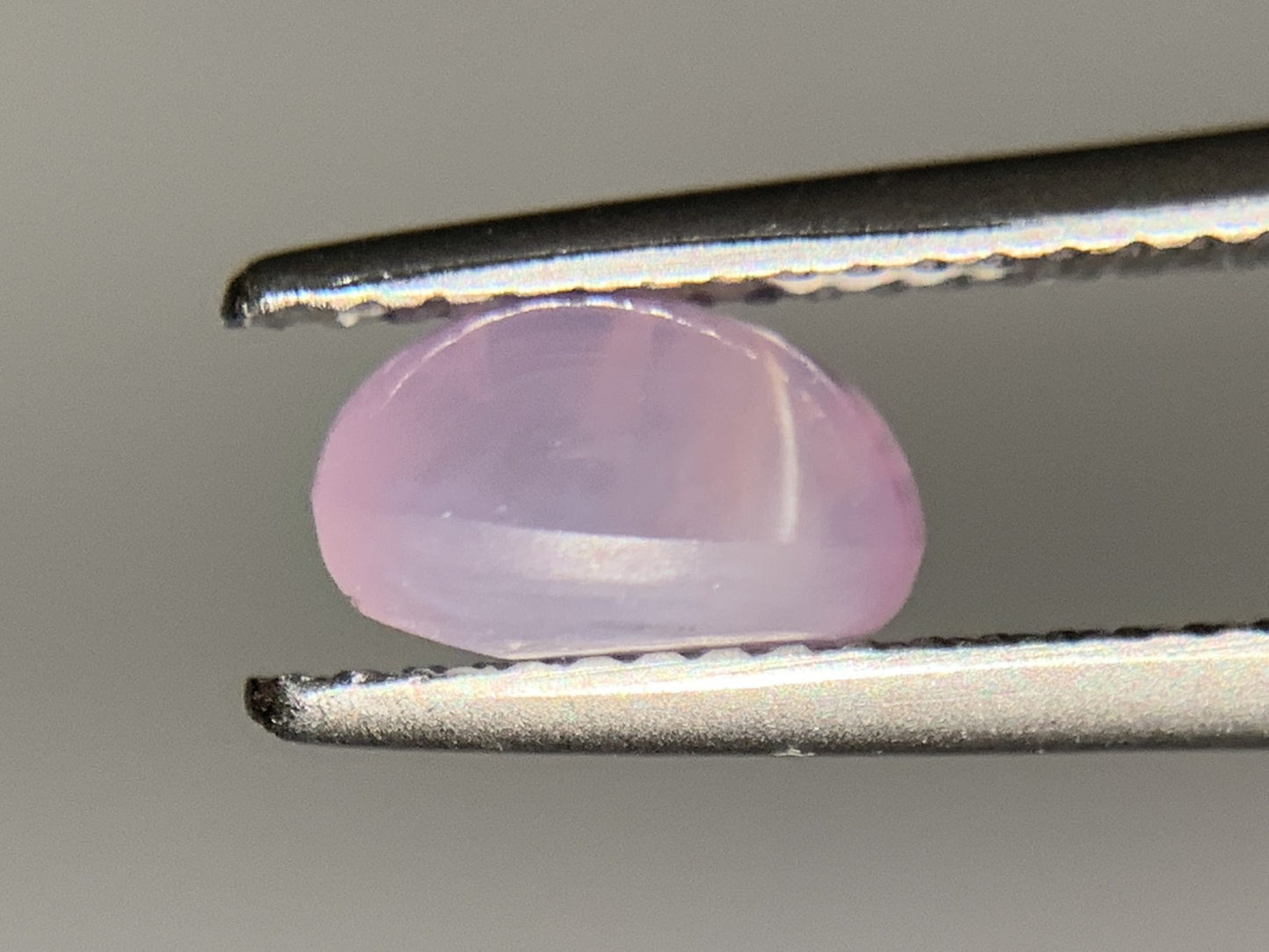 スターサファイア 2.762ct  宝石ソーティング付き  7.9㎜×6.7㎜×4.7㎜  ルース（ 裸石 ） 4119Y