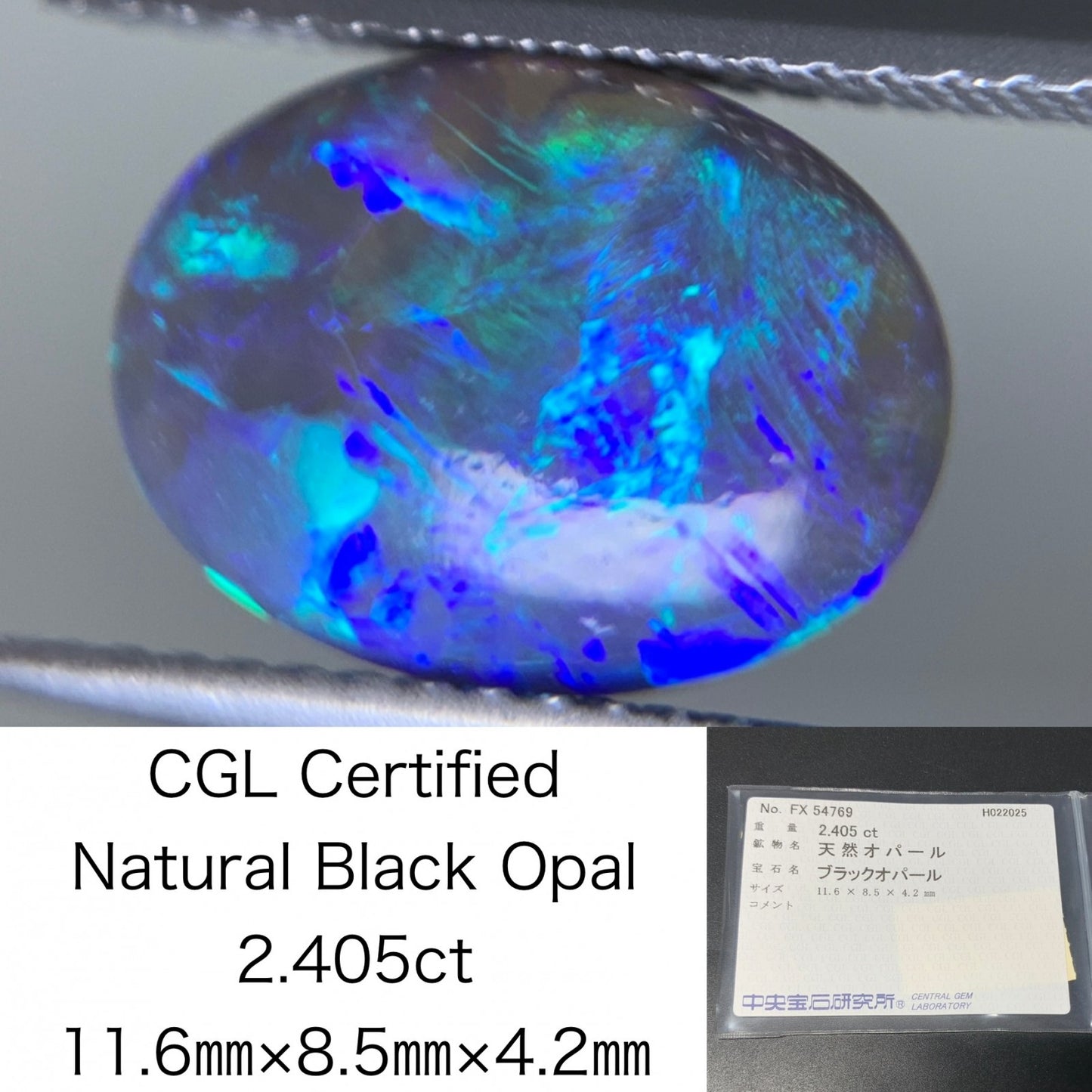 ブラックオパール 2.405ct  中央宝石ソーティング付き  11.6㎜×8.5㎜×4.2㎜  ルース（ 裸石 ） 4121Y