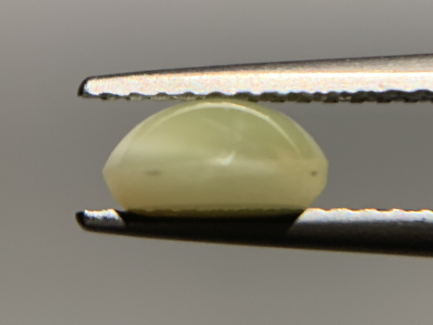 クリソベリルキャッツアイ 1.779ct  中央宝石ソーティング付き  7.2㎜×6.9㎜×3.6㎜  ルース（ 裸石 ） 4128Y