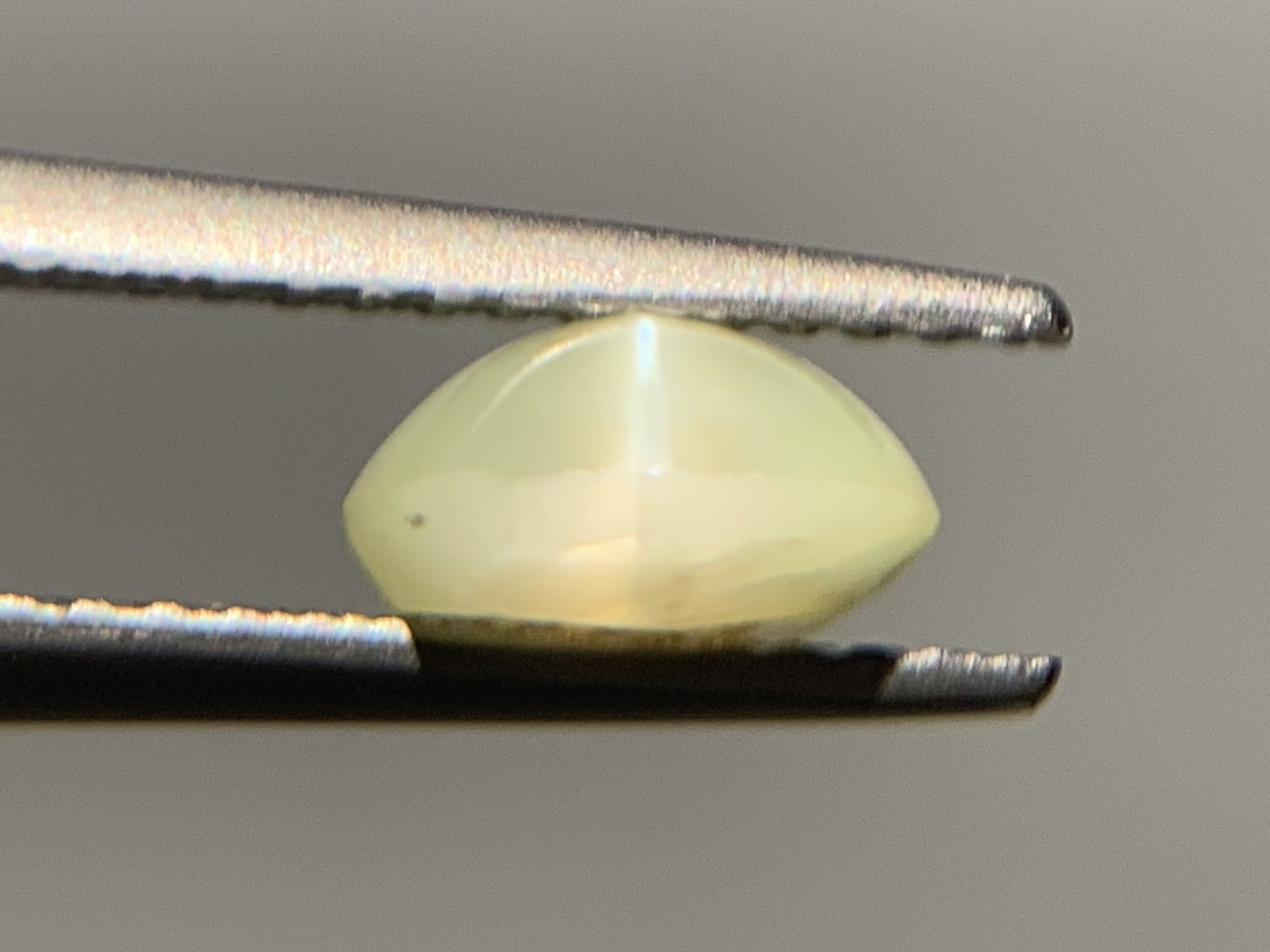 クリソベリルキャッツアイ 1.779ct  中央宝石ソーティング付き  7.2㎜×6.9㎜×3.6㎜  ルース（ 裸石 ） 4128Y