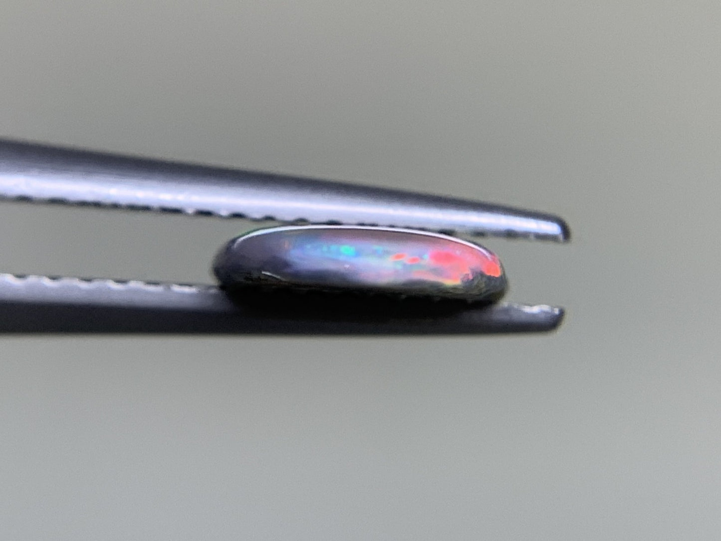 ブラックオパール 1.109ct  中央宝石ソーティング付き  11.5㎜×7.9㎜×1.7㎜  ルース（ 裸石 ） 4133Y