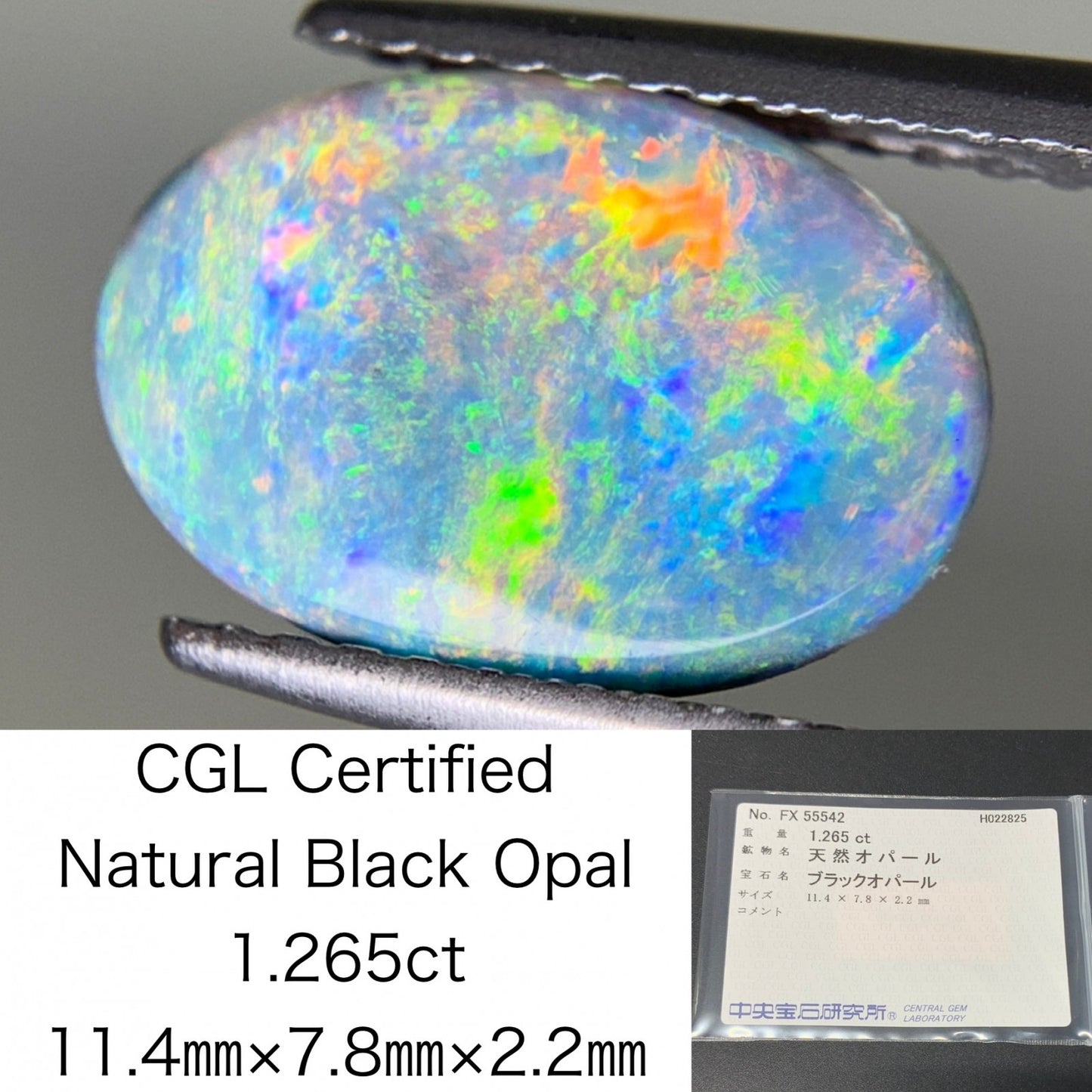 ブラックオパール 1.265ct 中央宝石ソーティング付き 11.4㎜×7.8㎜×2.2㎜ ルース（ 裸石 ） 4205Y