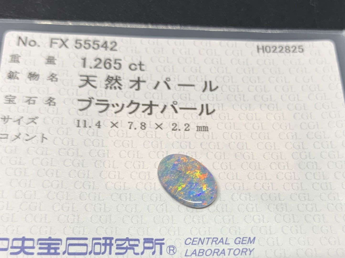 ブラックオパール 1.265ct 中央宝石ソーティング付き 11.4㎜×7.8㎜×2.2㎜ ルース（ 裸石 ） 4205Y