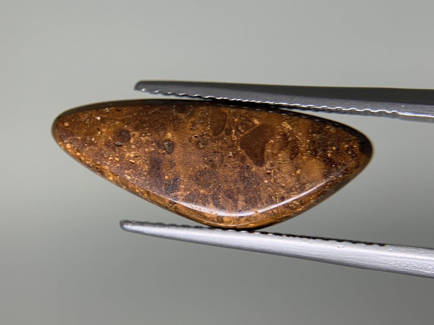ボルダーオパール 3.946ct  宝石ソーティング付き  20.4㎜×8.1㎜×2.9㎜  ルース（ 裸石 ） 4227Y