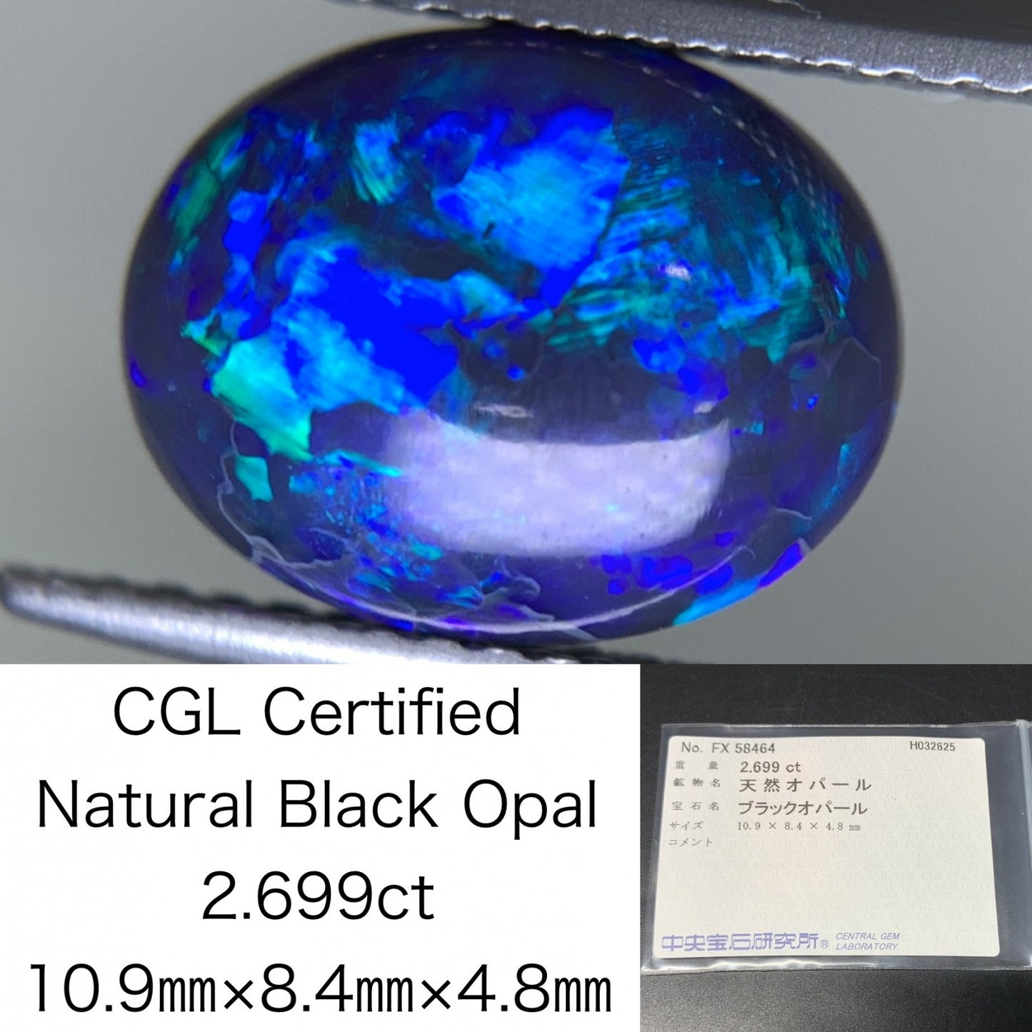 ブラックオパール 2.699ct  中央宝石ソーティング付き  10.9㎜×8.4㎜×4.8㎜  天然 ルース（ 裸石 ） 4481Y