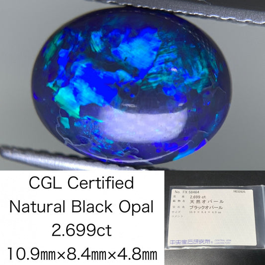 ブラックオパール 2.699ct  中央宝石ソーティング付き  10.9㎜×8.4㎜×4.8㎜  天然 ルース（ 裸石 ） 4481Y