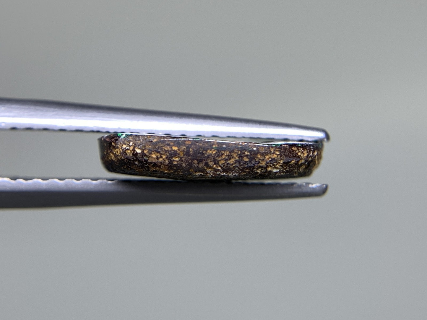 ボルダーオパール 2.347ct  宝石ソーティング付き  12.1㎜×8.0㎜×2.4㎜  天然 ルース（ 裸石 ） 4598Y