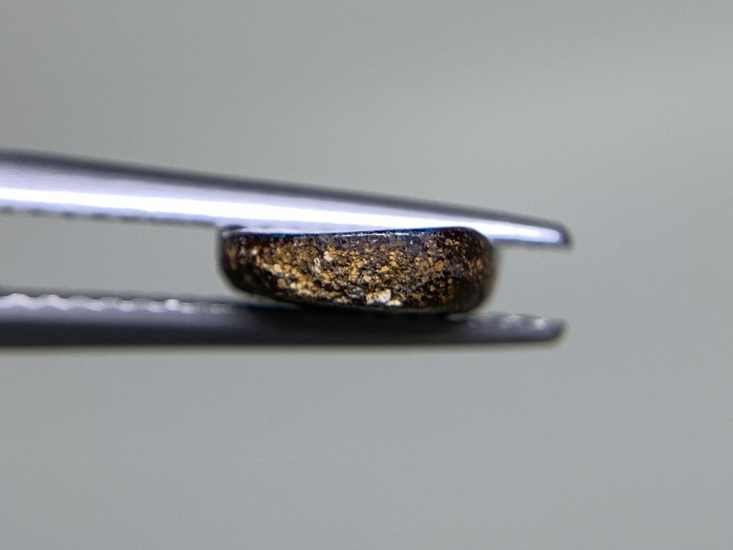 ボルダーオパール 2.347ct  宝石ソーティング付き  12.1㎜×8.0㎜×2.4㎜  天然 ルース（ 裸石 ） 4598Y