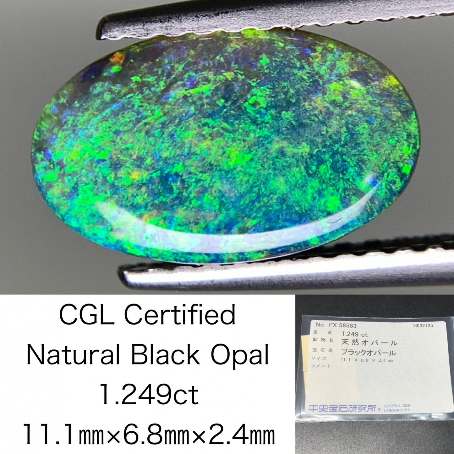 ブラックオパール 1.249ct  中央宝石ソーティング付き  11.1㎜×6.8㎜×2.4㎜  天然 ルース（ 裸石 ） 4600Y