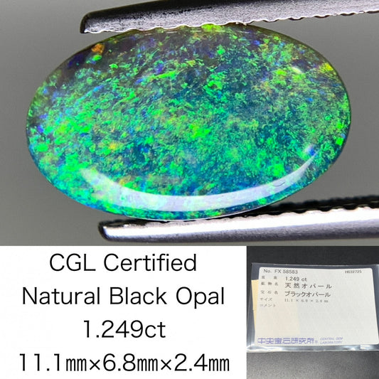 ブラックオパール 1.249ct  中央宝石ソーティング付き  11.1㎜×6.8㎜×2.4㎜  天然 ルース（ 裸石 ） 4600Y