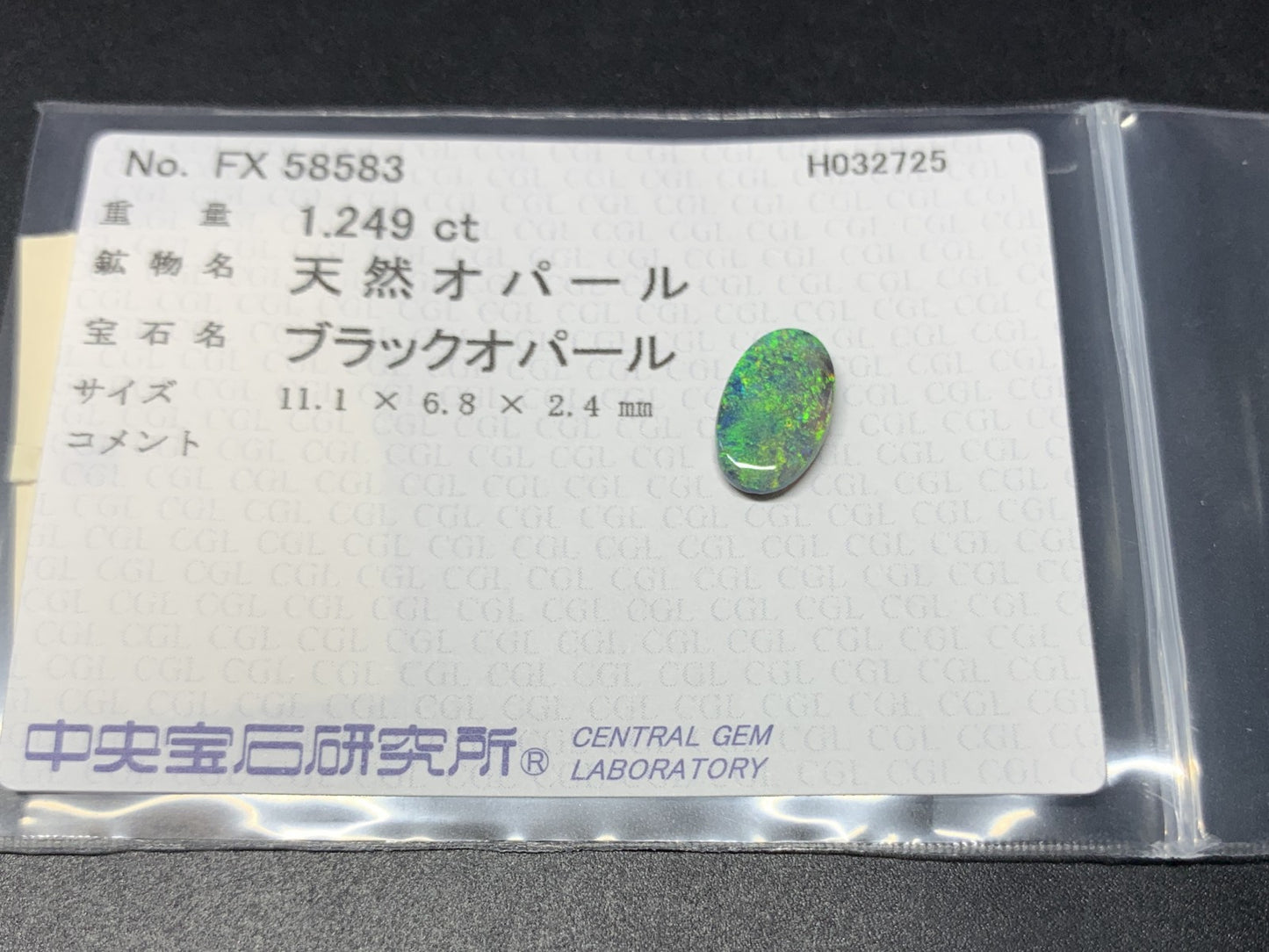 ブラックオパール 1.249ct  中央宝石ソーティング付き  11.1㎜×6.8㎜×2.4㎜  天然 ルース（ 裸石 ） 4600Y