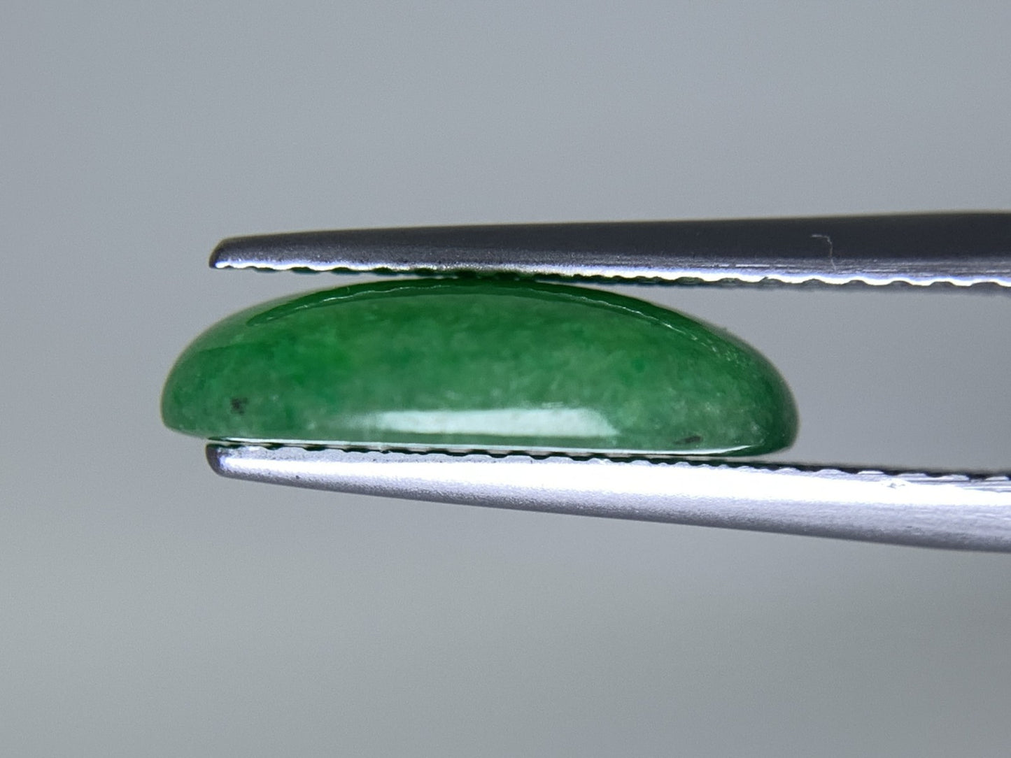 ヒスイ 翡翠  天然  4.876ct   宝石ソーティング付き  13.3㎜×9.8㎜×3.6㎜   ルース（ 裸石 ） 5563Y