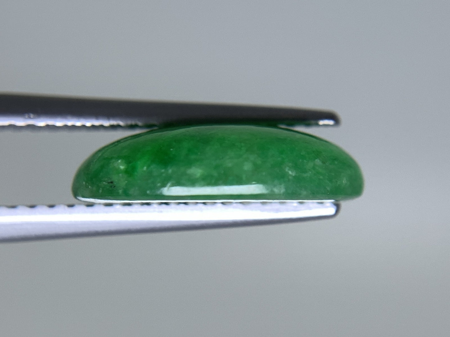 ヒスイ 翡翠  天然  4.876ct   宝石ソーティング付き  13.3㎜×9.8㎜×3.6㎜   ルース（ 裸石 ） 5563Y