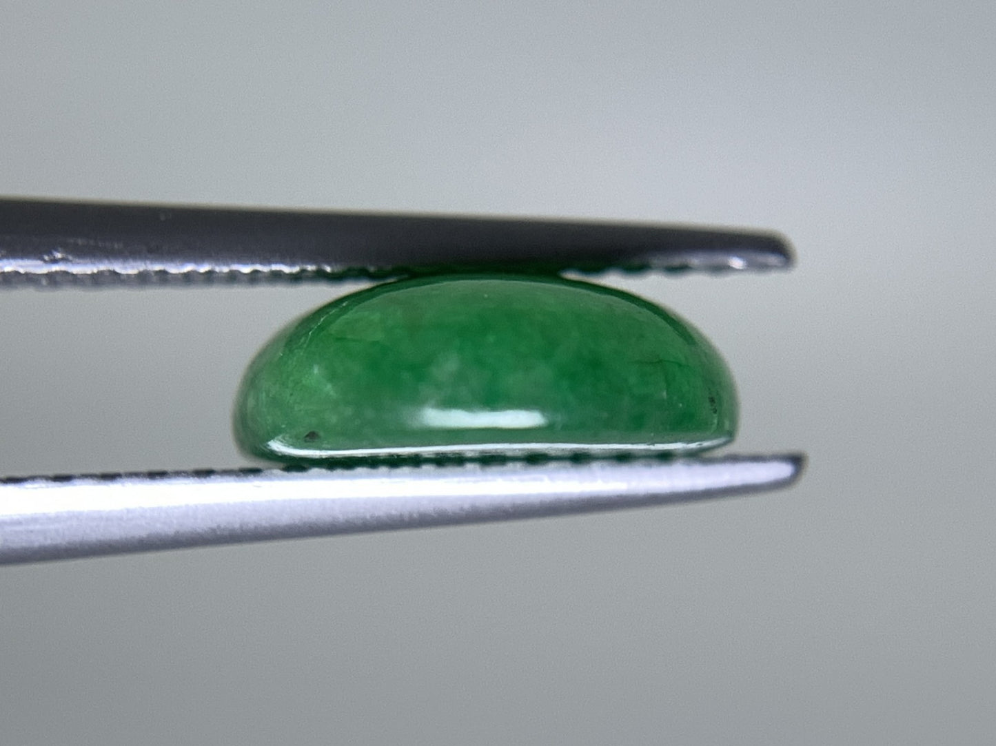 ヒスイ 翡翠  天然  4.876ct   宝石ソーティング付き  13.3㎜×9.8㎜×3.6㎜   ルース（ 裸石 ） 5563Y