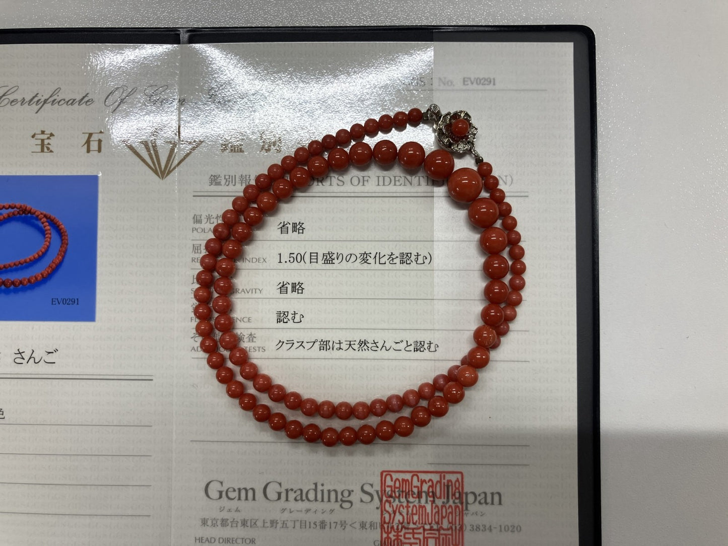 赤珊瑚　ネックレス　（さんご　サンゴ） 宝石鑑別書付き SILVER 総重量20.0g ネックレス全長約49.5cm 4447S
