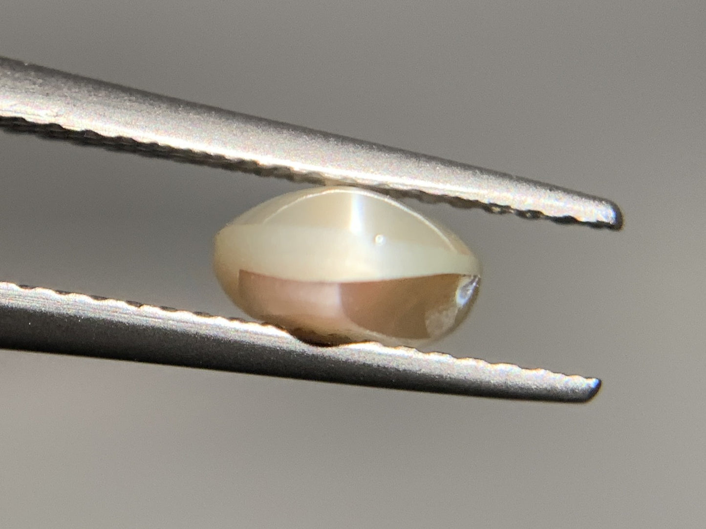 クリソベリルキャッツアイ 天然 2.265ct 宝石ソーティング付き 9.5㎜×6.9㎜×3.7㎜ ルース（ 裸石 ） 7677Y