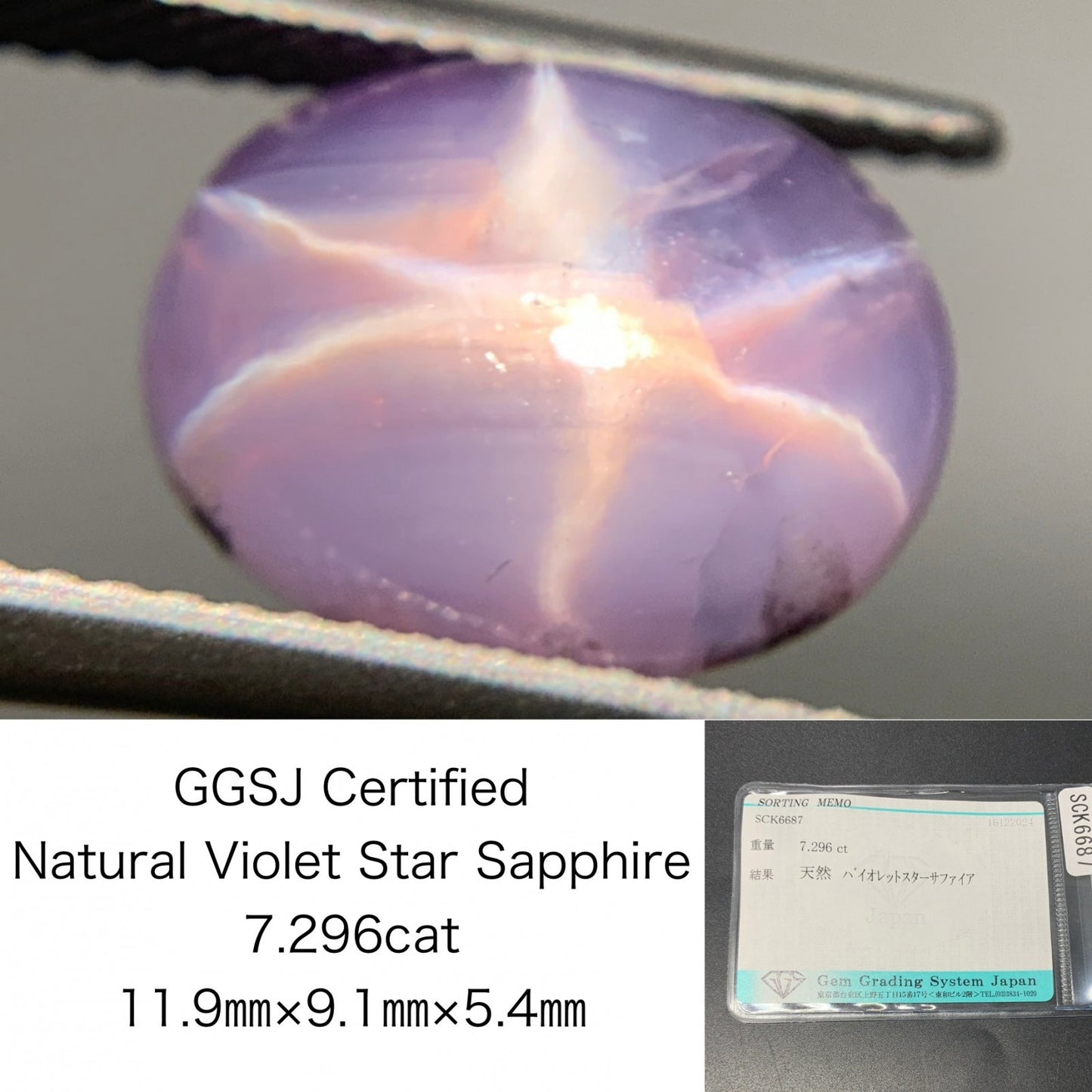 バイオレットスターサファイア 7.296ct 宝石ソーティング付き  11.9㎜×9.1㎜×5.4㎜  ルース（ 裸石 ） 3541Y