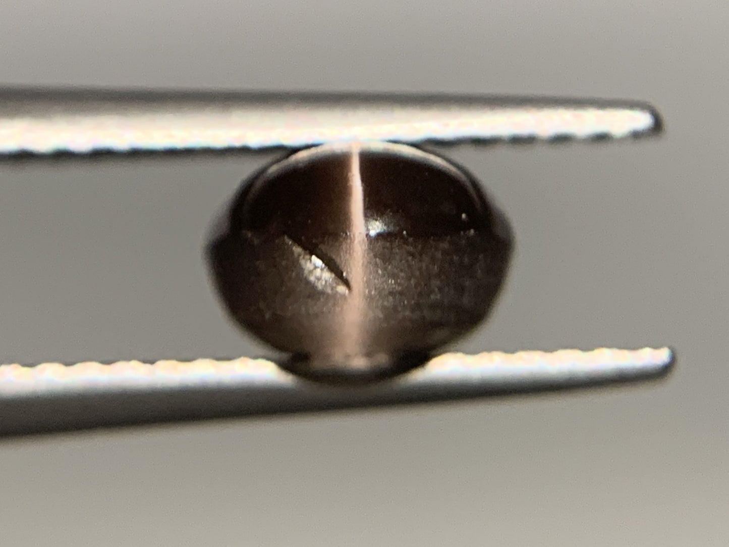 シリマナイトキャッツアイ　2.72ct　宝石ソーティング付き　9.0㎜×6.9㎜×4.8㎜　ルース（ 裸石 ） 1869Y