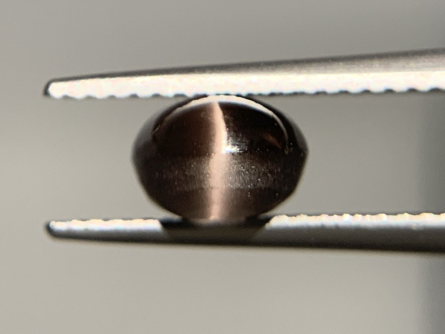 シリマナイトキャッツアイ　2.72ct　宝石ソーティング付き　9.0㎜×6.9㎜×4.8㎜　ルース（ 裸石 ） 1869Y